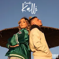 Bardhi — Kalli — обложка